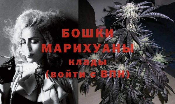 бошки Инта