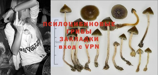 мет Каменногорск
