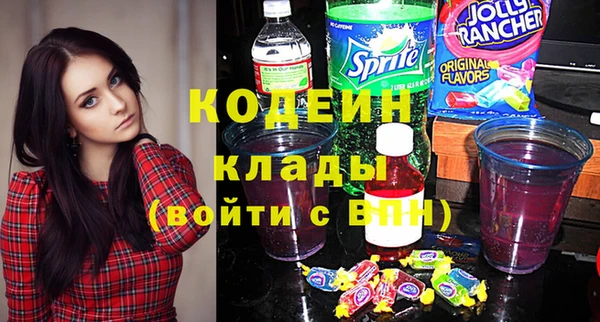 первитин Каменка