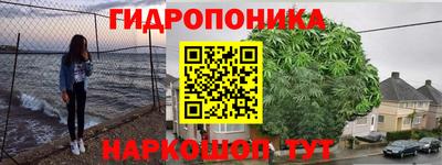 скорость Гай
