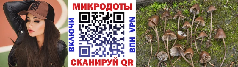 даркнет сайт  гидра сайт  Галлюциногенные грибы Psilocybine cubensis  Кашира 