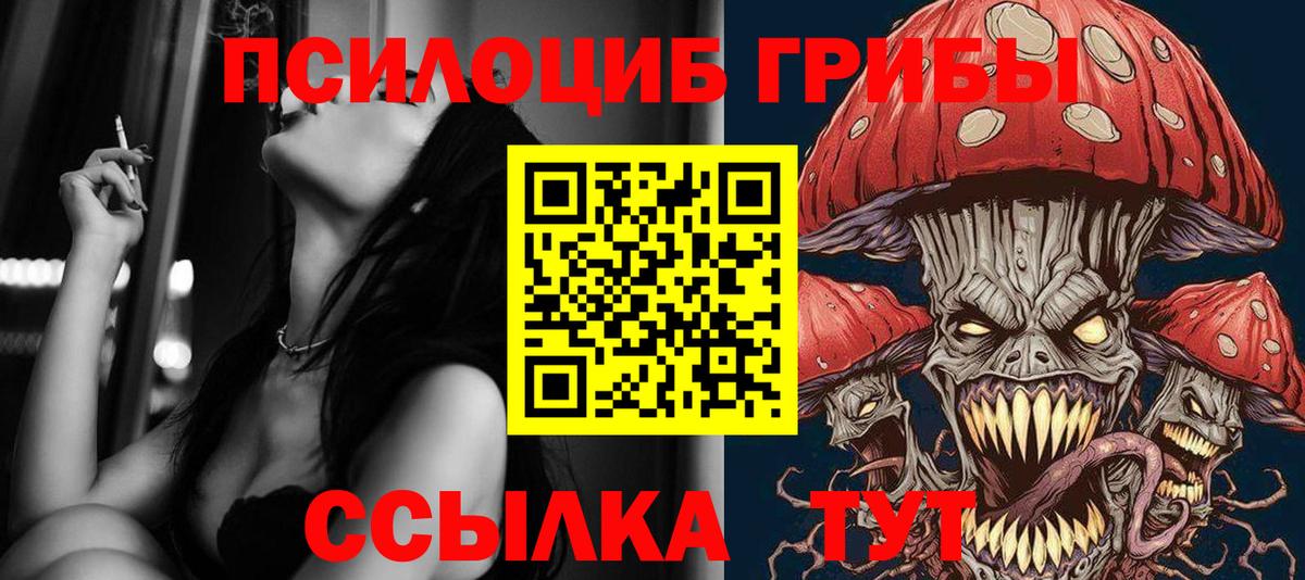 Кашира  Галлюциногенные грибы GOLDEN TEACHER  Галлюциногенные грибы прущие грибы  Вход с VPN 