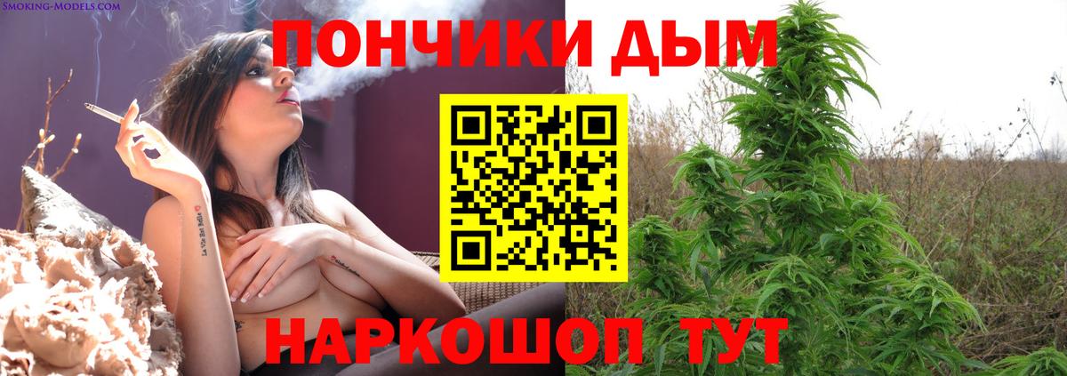 Конопля AK-47 Кашира